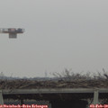14_10-mast.jpg