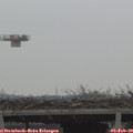 14_30-mast.jpg