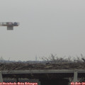14_35-mast.jpg