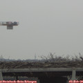 14_40-mast.jpg