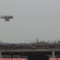 15_05-mast.jpg