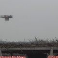 15_10-mast.jpg