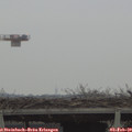 15_25-mast.jpg