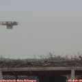 15_35-mast.jpg