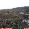 15_45-nest.jpg