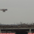 15_55-mast.jpg
