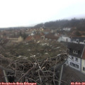 16_20-nest.jpg
