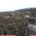 16_30-nest.jpg