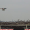 16_35-mast.jpg