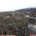 16_35-nest.jpg