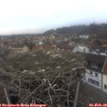 16_40-nest.jpg