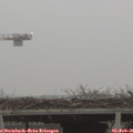 08_00-mast.jpg