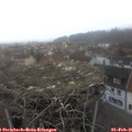 08_00-nest.jpg