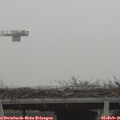 08_10-mast.jpg