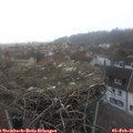 08_10-nest.jpg
