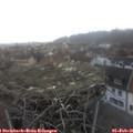 08_15-nest.jpg