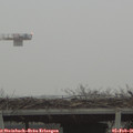 08_20-mast.jpg