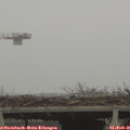 08_25-mast.jpg