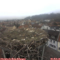 08_25-nest.jpg