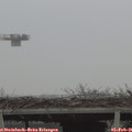 08_50-mast.jpg