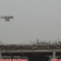 09_00-mast.jpg