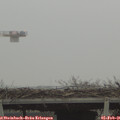 09_05-mast.jpg