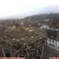 09_05-nest.jpg