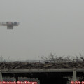 09_10-mast.jpg