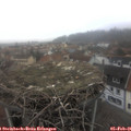09_10-nest.jpg