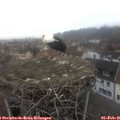 09_20-nest.jpg