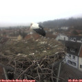 10_00-nest.jpg