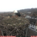 10_05-nest.jpg