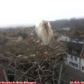 10_15-nest.jpg