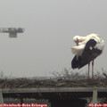 10_20-mast.jpg