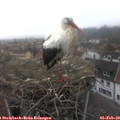 10_25-nest.jpg