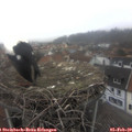 10_30-nest.jpg
