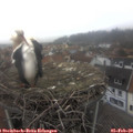 10_35-nest.jpg