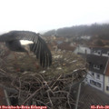 10_45-nest.jpg