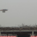 11_05-mast.jpg
