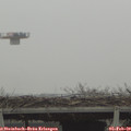 11_10-mast.jpg