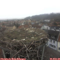 11_15-nest.jpg