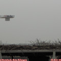 11_35-mast.jpg