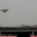 11_40-mast.jpg