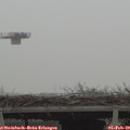 11_45-mast.jpg