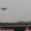 12_00-mast.jpg