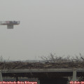 12_05-mast.jpg