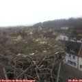 12_05-nest.jpg
