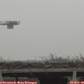 12_10-mast.jpg