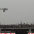 12_20-mast.jpg