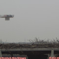 12_35-mast.jpg